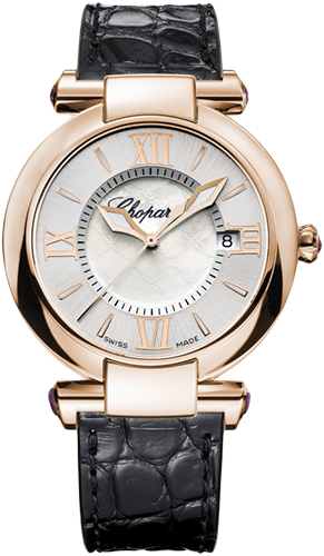 watch 3842215001