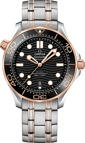 Omega Diver 300M 42 mm Watch Ref. 21020422001001