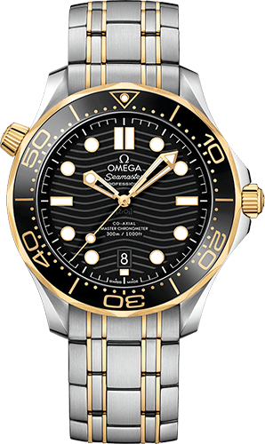 Omega Diver 300M 42 mm Watch Ref. 21020422001002