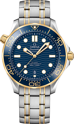 Omega Diver 300M 42 mm Watch Ref. 21020422003001