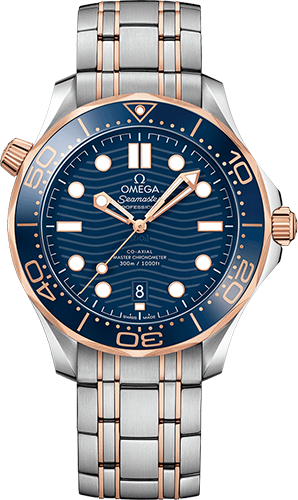 Omega Diver 300M 42 mm Watch Ref. 21020422003002
