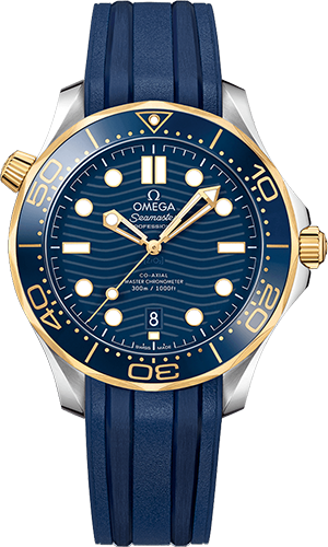 Omega Diver 300M 42 mm Watch Ref. 21022422003001