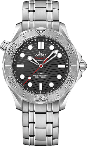 Omega Diver 300M 42 mm Watch Ref. 21030422001002