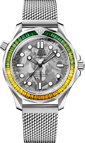 Omega Diver 300M 42 mm Watch Ref. 21055422099001