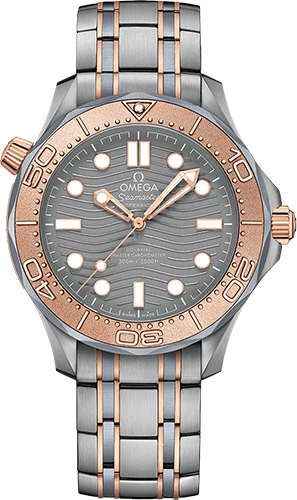 Omega Diver 300M 42 mm Watch Ref. 21060422099001