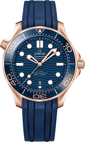 Omega Diver 300M 42 mm Watch Ref. 21062422003001
