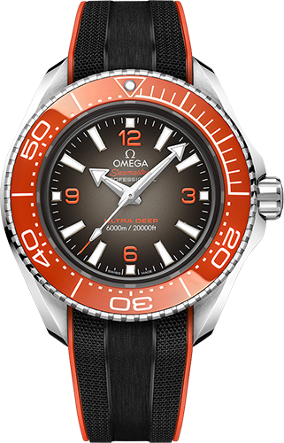Omega Planet Ocean 6000M 45,5 mm Watch Ref. 21532462106001