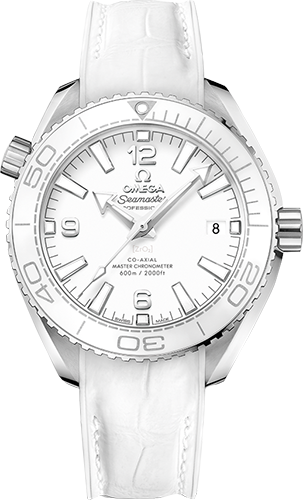 Omega Planet Ocean 600M 39,5 mm Watch Ref. 21533402004001