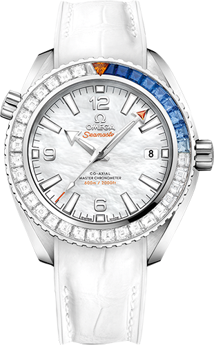 Omega Planet Ocean 600M 39,5 mm Watch Ref. 21558402005001