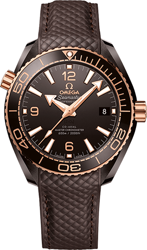 Omega Planet Ocean 600M 39,5 mm Watch Ref. 21562402013001