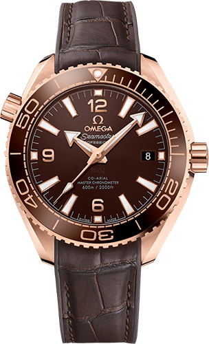 Omega Planet Ocean 600M 39,5 mm Watch Ref. 21563402013001