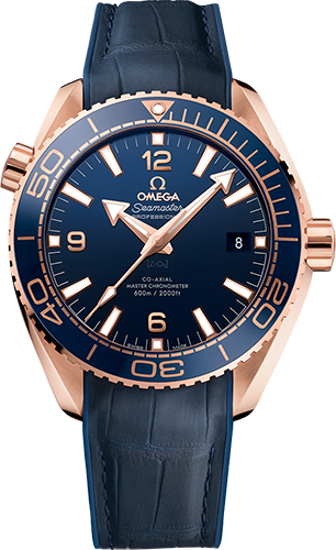 Omega Planet Ocean 600M 43,5 mm Watch Ref. 21563442103001