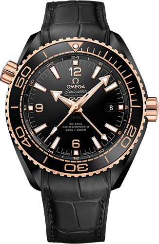 Omega Planet Ocean 600M 45,5 mm Watch Ref. 21563462201001