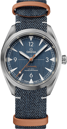Omega Railmaster 40 mm Watch Ref. 22012402003001