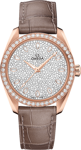 Omega Aqua Terra 150M 38 mm Watch Ref. 22058382099003