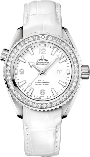 Omega Planet Ocean 600M 37,5 mm Watch Ref. 23218382004001