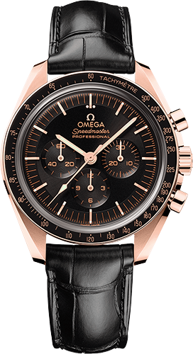 Omega Moonwatch Professional 42 mm Watch Ref. 31063425001001