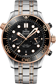 Omega | Brand New Watches Austria Seamaster watch 21020445101001