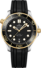 Omega | Brand New Watches Austria  watch 21022422001001