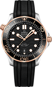 Omega | Brand New Watches Austria  watch 21022422001002