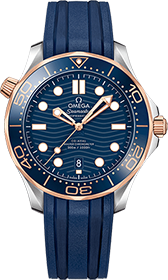 Omega | Brand New Watches Austria  watch 21022422003002