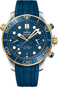 Omega | Brand New Watches Austria Seamaster watch 21022445103001
