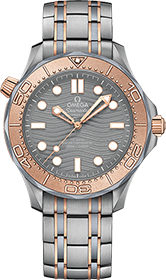 Omega | Brand New Watches Austria  watch 21060422099001