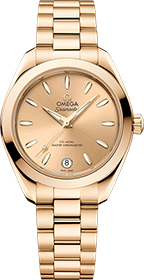 Omega | Brand New Watches Austria Seamaster watch 22050302008001