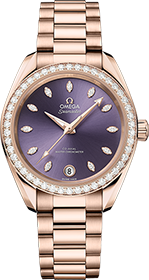 Omega | Brand New Watches Austria Seamaster watch 22055342060001