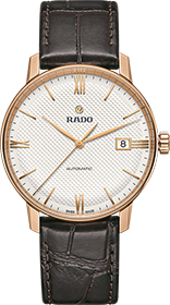 Rado | Brand New Watches Austria Coupole watch R22861065