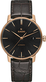 Rado | Brand New Watches Austria Coupole watch R22861165