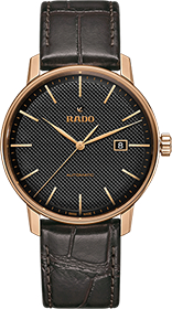 Rado | Brand New Watches Austria Coupole watch R22877165