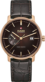 Rado | Brand New Watches Austria Coupole watch R22879325
