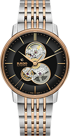 Rado | Brand New Watches Austria Coupole watch R22894163