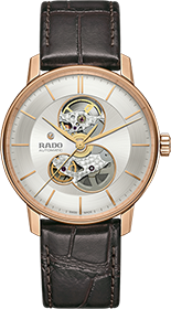 Rado | Brand New Watches Austria Coupole watch R22895025