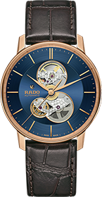 Rado | Brand New Watches Austria Coupole watch R22895215