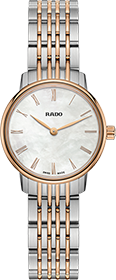 Rado | Brand New Watches Austria Coupole watch R22897933